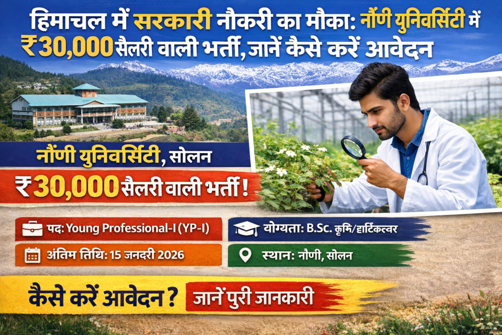 nauni-university-recruitment-2026-young-professional-job