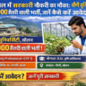 nauni-university-recruitment-2026-young-professional-job